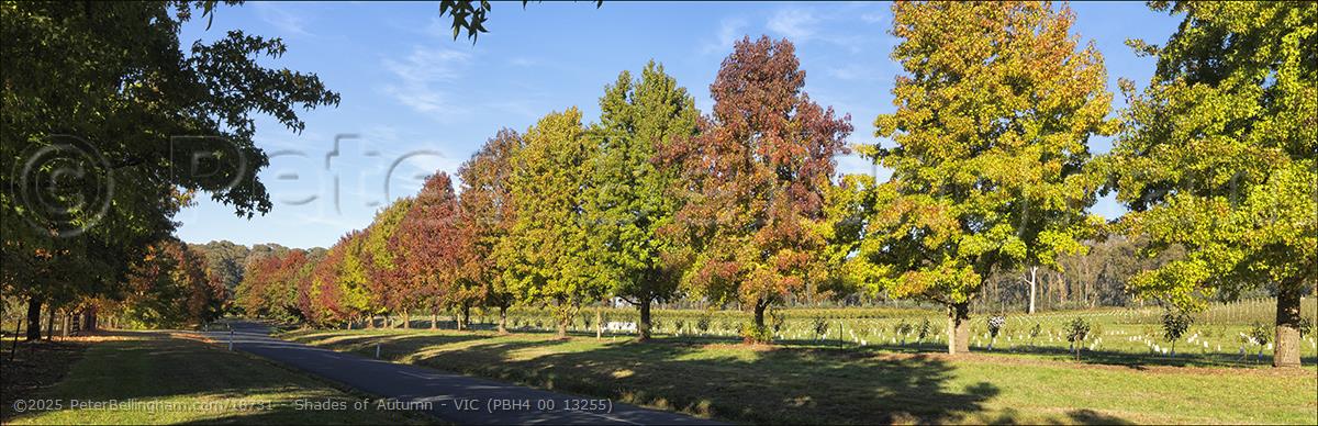 Peter Bellingham Photography Shades of Autumn - VIC (PBH4 00 13255)